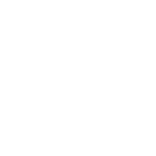 Pago Seguro - Protección SSL